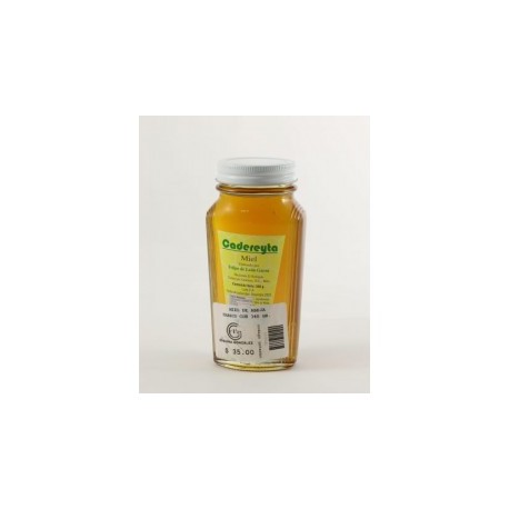 MIEL DE ABEJA 340 GR....