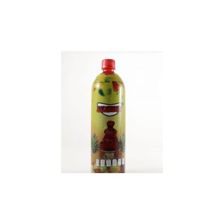 SALCHAMOY CHILOGOGOS 1L.